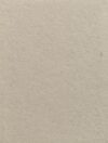 Superior #21 Pursuit Grey Seamless Paper