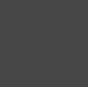 Lee #299 - 1.2 Neutral Density