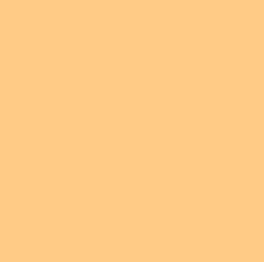 Rosco #09 - Pale Amber Gold - 20" x 24" Sheet