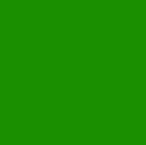 Rosco #126 - Green Cyc Silk - 20" x 24" Sheet