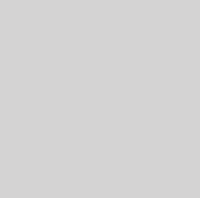 Rosco #397 - Pale Grey - 20" x 24" Sheet