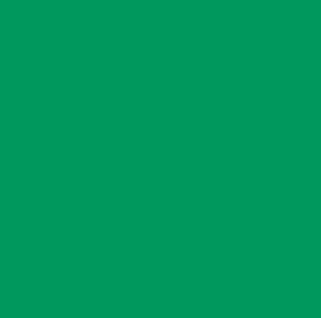 Rosco #94 - Kelly Green - 20" x 24" Sheet