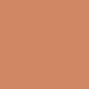 Rosco #99 - Chocolate - 20" x 24" Sheet