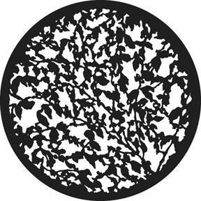 GAM 294 - Summer Leaves
