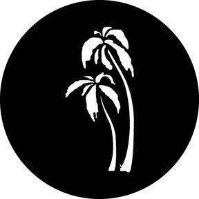 GAM 297 - Palm Trees