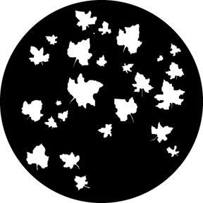 GAM 307 - Autumn Leaves