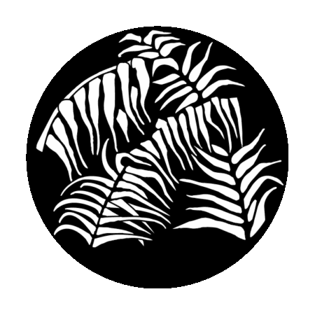 Apollo 1011 - Foliage Jungle