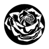 Apollo 1063 - Rose with Shadow