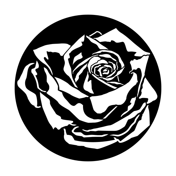 Apollo 1063 - Rose with Shadow