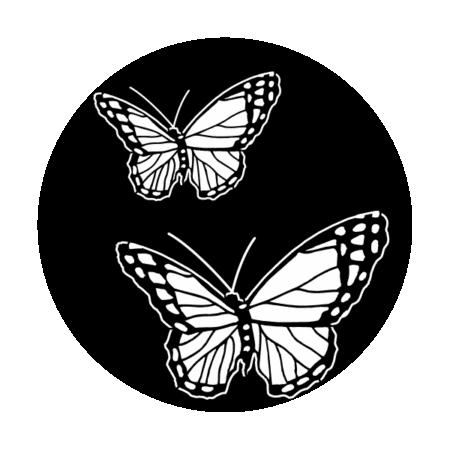 Apollo 1170 - Butterfly Double