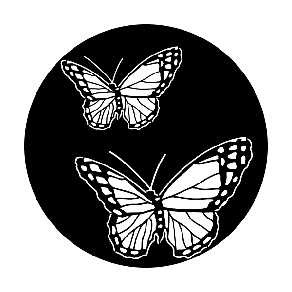 Apollo 1170 - Butterfly Double